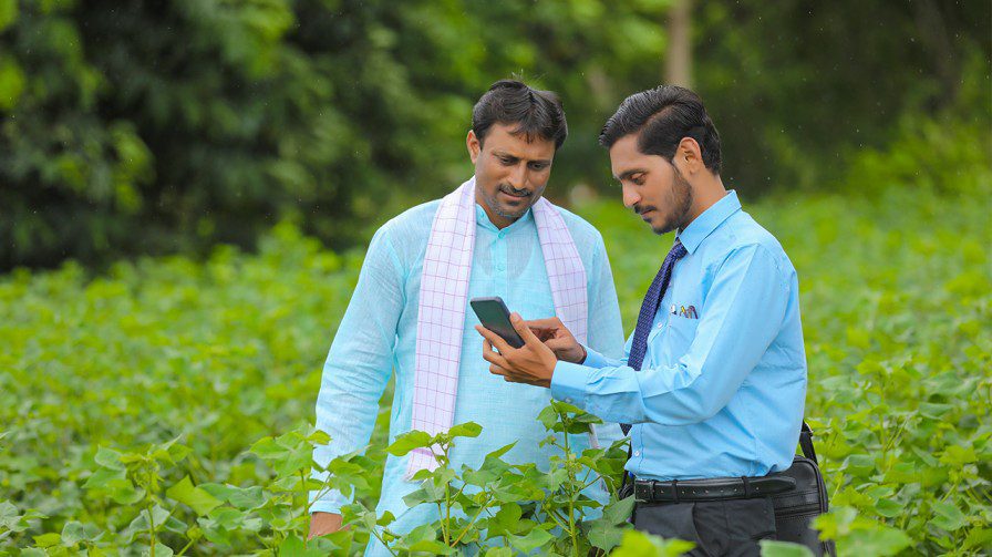 Agriculture Jobs Overseas: How Farm Workers are Building Global Careers